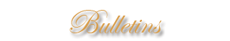 Bulletin icon