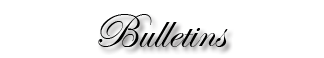 Bulletin icon